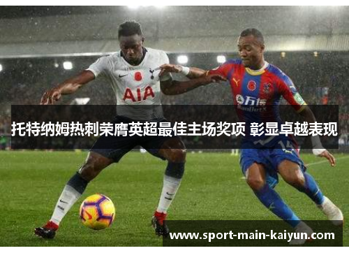 托特纳姆热刺荣膺英超最佳主场奖项 彰显卓越表现